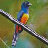 Blue Trogon diamond painting