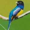 Blue Trogon diamond painting