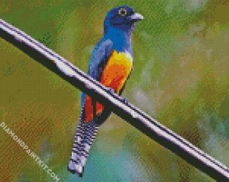 Blue Trogon diamond painting