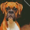 Brown Boxer Dog diamond painting