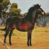 Brown Brumby diamond painting