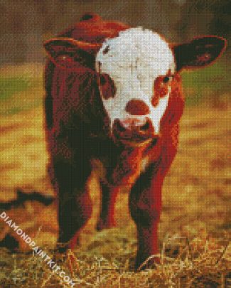 Brown Calf diamond painting