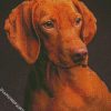 Brown Vizsla diamond painting