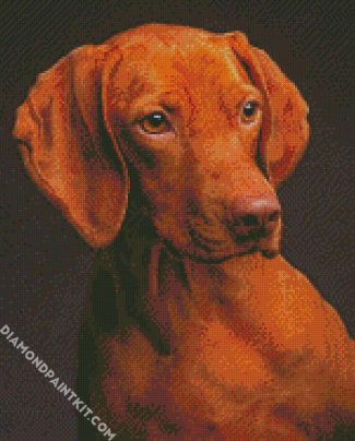 Brown Vizsla diamond painting