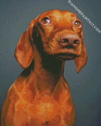 Brown Vizsla Dog diamond painting