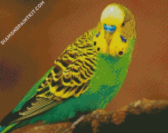 Budgerigar diamond painting