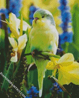 Budgerigar diamond painting