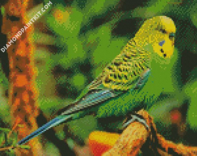 Budgerigar Bird diamond painting