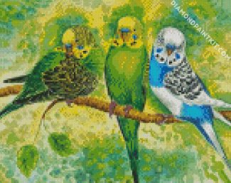 Budgerigar Birds diamond painting