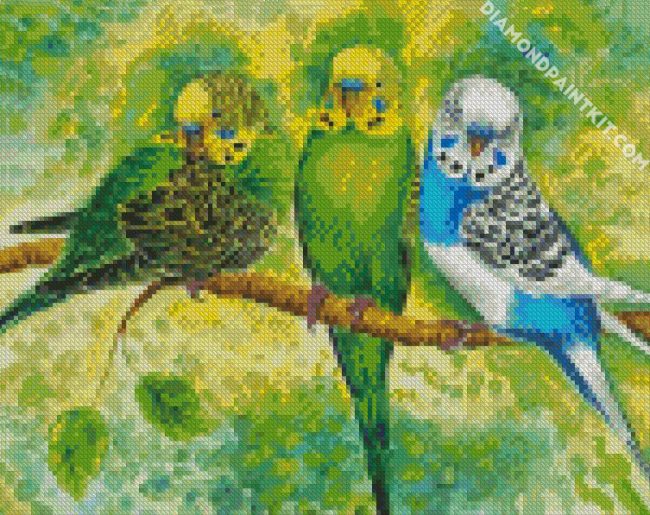 Budgerigar Birds diamond painting