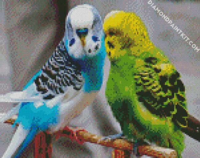 Budgerigars Birds diamond painting