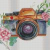 Camera And Flower diamond painting