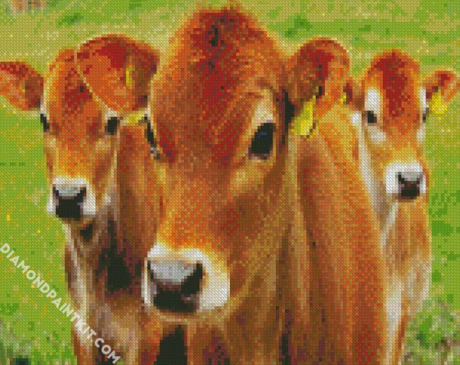 Cute Calves diamond painting