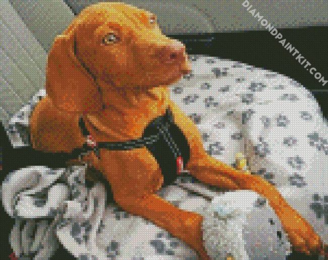 Cute Vizsla Puppy diamond painting