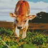 Cute Baby Calf diamond painting