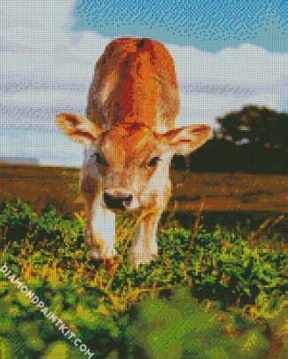 Cute Baby Calf diamond painting