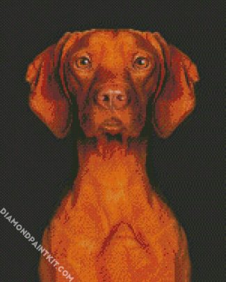 Cute Brown Vizsla Dog diamond painting