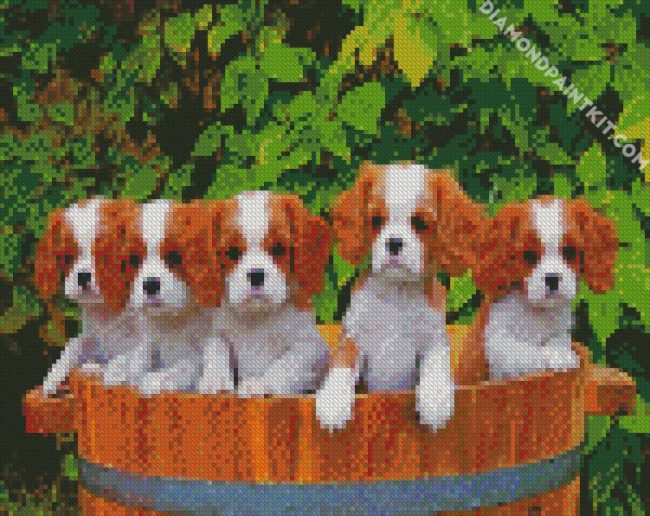 Cute King Charles Spaniel Puppies diamond painting