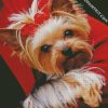 Cute Yorkie diamond painting