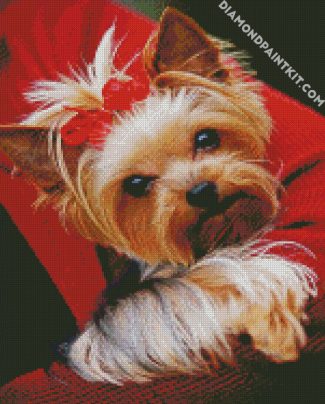 Cute Yorkie diamond painting