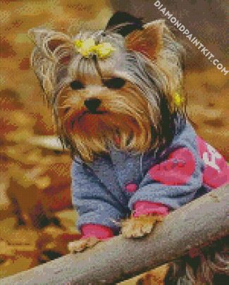 Cute Yorkie Puppy diamond painting