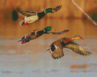 Flying Waterfowls diamond painting