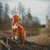 New Scotia Duck Tolling Retriever diamond painting