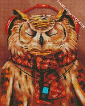 Owl Listening To Music diamond painting