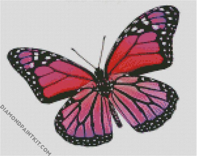 Pink And Purple Butterfly diamond painting