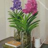 Purple And Pink Vanda Flowers diamond painting