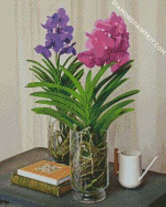 Purple And Pink Vanda Flowers diamond painting