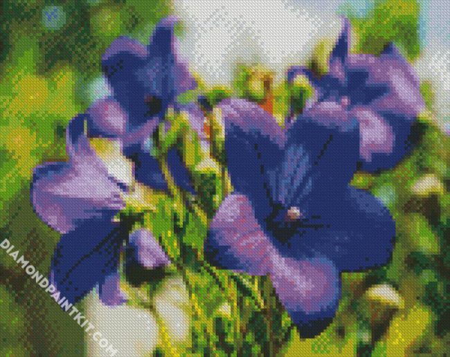 Purple Bellflower diamond painting