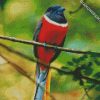 Red Trogon diamond painting