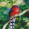 Red Trogon diamond painting