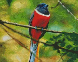 Red Trogon diamond painting