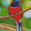 Red Trogon Bird Animal diamond painting