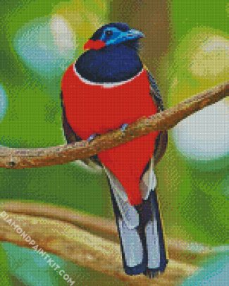 Red Trogon Bird Animal diamond painting