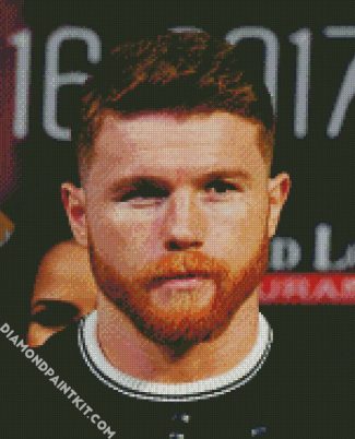 The Mexican Boxer Canelo Alvarez diamond painting