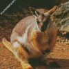 Wallaby diamond painting