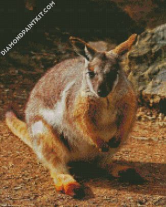 Wallaby diamond painting