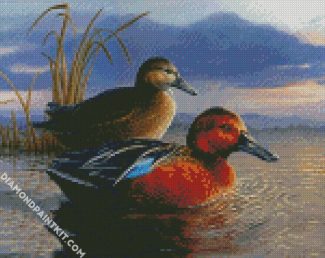 Waterfowl Bird Illustration diamond painting