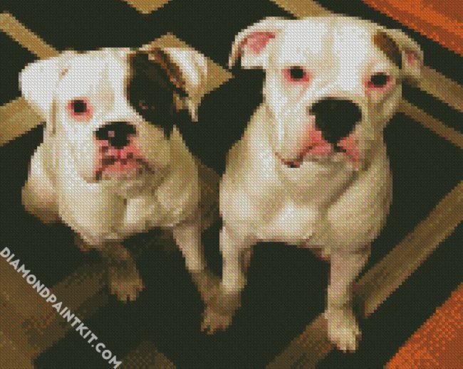 White Boxers diamond painting