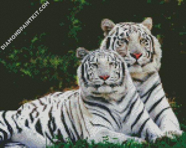 White Tigers diamond painting