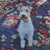 Wire Fox Terrier diamond painting