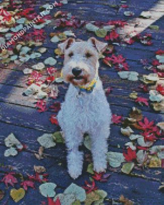 Wire Fox Terrier diamond painting