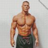 Wrestler John Cena diamond painting