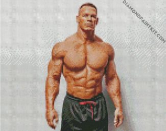 Wrestler John Cena diamond painting