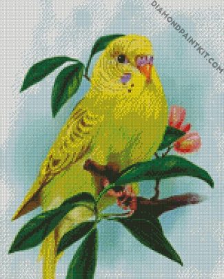 Yellow Budgerigar diamond painting