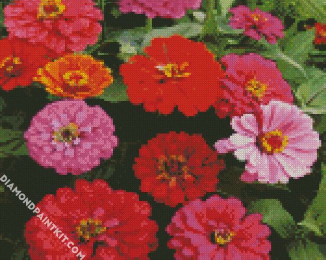 Zinnia Flowers diamond painting