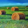 Abby Bales In Farmland diamond painting